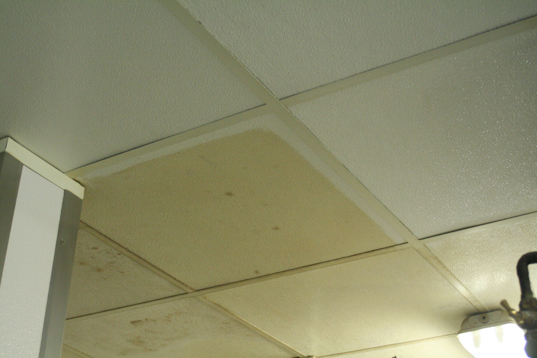 Les dalles plafond FIBROLAB®